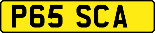 P65SCA