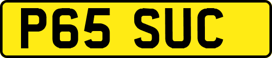 P65SUC