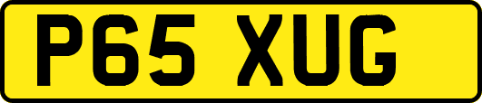 P65XUG