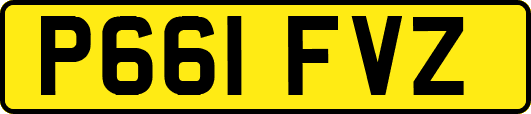P661FVZ