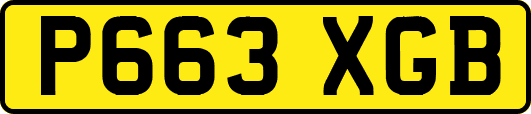 P663XGB