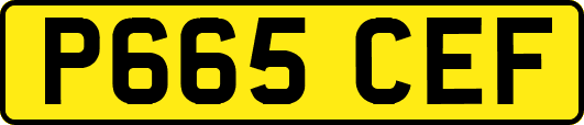 P665CEF