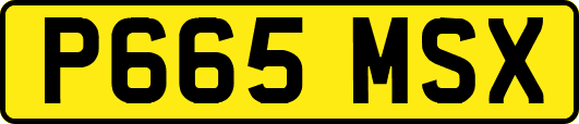 P665MSX
