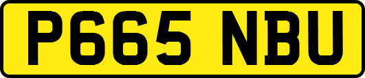 P665NBU