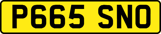 P665SNO