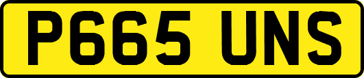 P665UNS