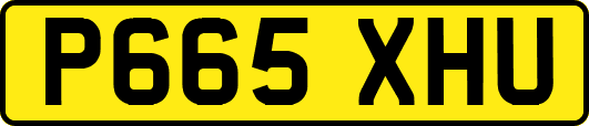 P665XHU