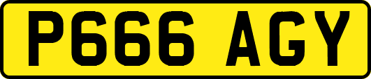P666AGY