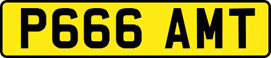 P666AMT