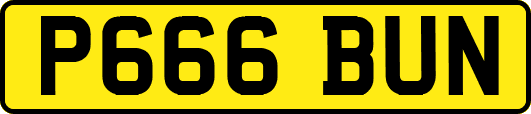 P666BUN