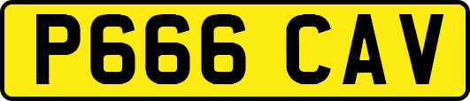 P666CAV