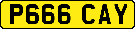 P666CAY