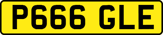 P666GLE
