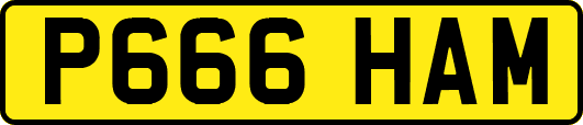 P666HAM