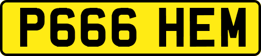 P666HEM