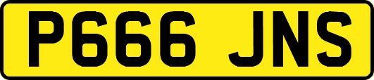 P666JNS