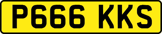 P666KKS