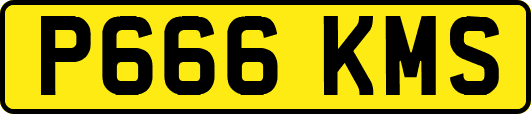 P666KMS
