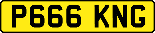 P666KNG