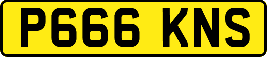 P666KNS