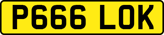 P666LOK