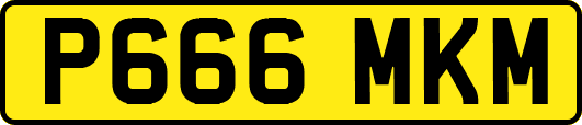 P666MKM