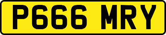 P666MRY