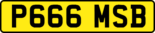 P666MSB