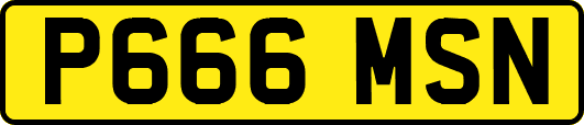 P666MSN