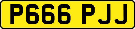 P666PJJ