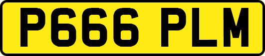 P666PLM