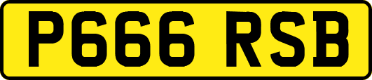 P666RSB
