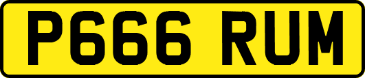 P666RUM