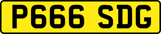 P666SDG