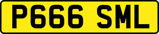 P666SML