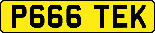 P666TEK