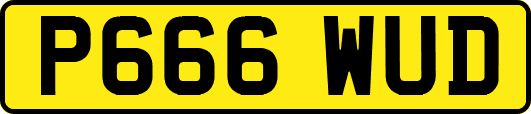 P666WUD