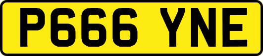 P666YNE
