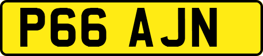 P66AJN