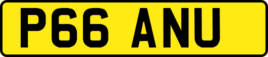 P66ANU