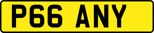 P66ANY