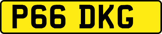 P66DKG