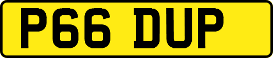 P66DUP