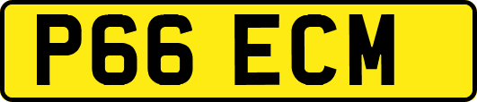 P66ECM