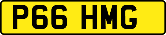 P66HMG