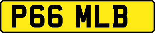 P66MLB