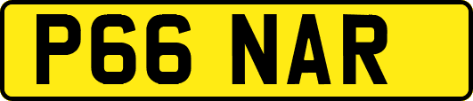 P66NAR