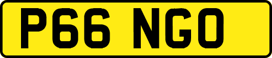 P66NGO