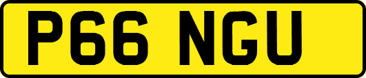 P66NGU