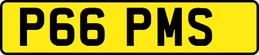 P66PMS